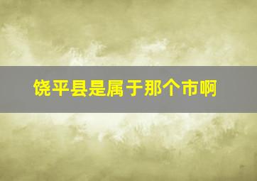 饶平县是属于那个市啊