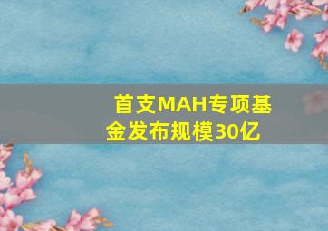 首支MAH专项基金发布,规模30亿