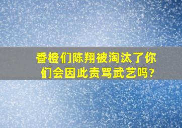 香橙们、陈翔被淘汰了、你们会因此责骂武艺吗?