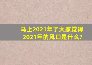 马上2021年了,大家觉得2021年的风口是什么?