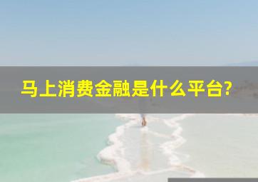 马上消费金融是什么平台?