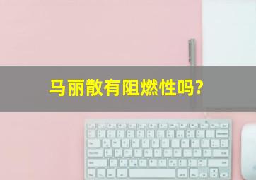 马丽散有阻燃性吗?