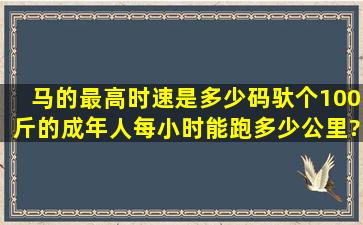 马的最高时速是多少码,驮个100斤的成年人每小时能跑多少公里?