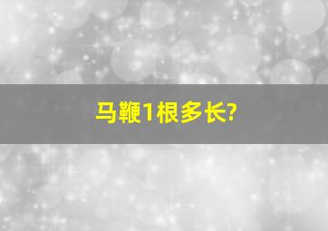 马鞭1根多长?