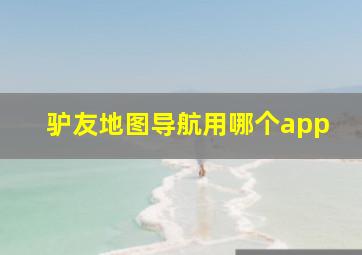 驴友地图导航用哪个app