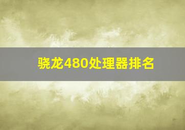 骁龙480处理器排名