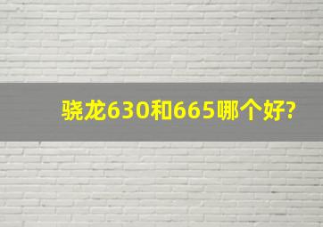 骁龙630和665哪个好?