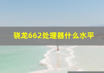 骁龙662处理器什么水平