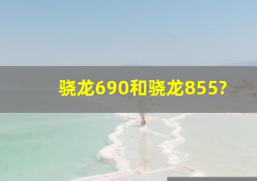 骁龙690和骁龙855?