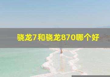 骁龙7和骁龙870哪个好