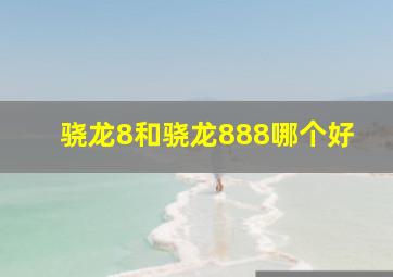 骁龙8和骁龙888哪个好