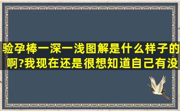 验孕棒一深一浅图解是什么样子的啊?我现在还是很想知道自己有没有...