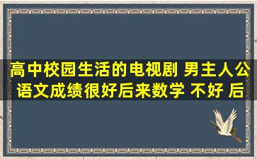 高中校园生活的电视剧 男主人公语文成绩很好后来数学 不好 后来写了...