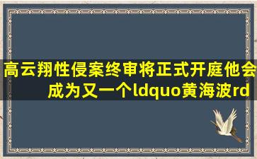 高云翔性侵案终审将正式开庭,他会成为又一个“黄海波”吗?