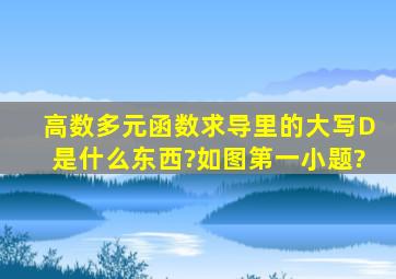 高数多元函数求导里的大写D是什么东西?如图第一小题?