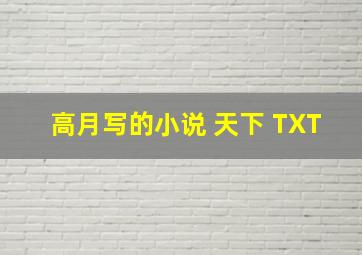 高月写的小说 天下 TXT