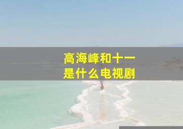 高海峰和十一是什么电视剧