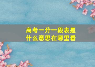 高考一分一段表是什么意思在哪里看