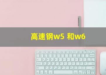 高速钢w5 和w6