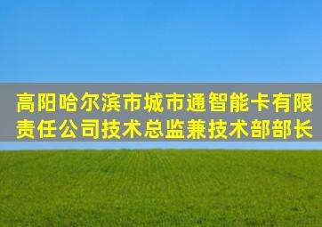 高阳(哈尔滨市城市通智能卡有限责任公司技术总监兼技术部部长)