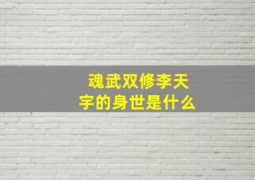 魂武双修李天宇的身世是什么