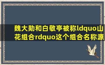 魏大勋和白敬亭被称“山花组合”,这个组合名称源自于哪?