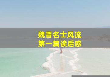 魏晋名士风流第一篇读后感