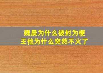 魏晨为什么被封为梗王他为什么突然不火了(