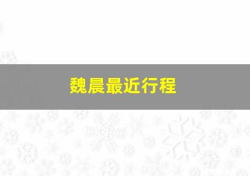 魏晨最近行程、