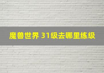 魔兽世界 31级去哪里练级