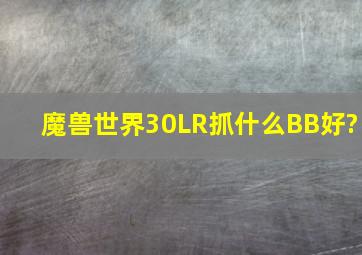 魔兽世界30LR抓什么BB好?