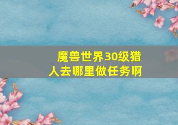 魔兽世界30级猎人去哪里做任务啊