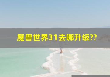 魔兽世界31去哪升级??