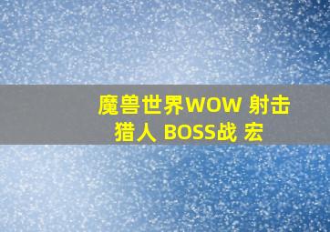 魔兽世界WOW 射击猎人 BOSS战 宏