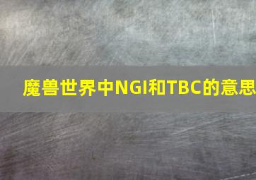 魔兽世界中NGI和TBC的意思