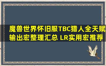 魔兽世界怀旧服TBC猎人全天赋输出宏整理汇总 LR实用宏推荐