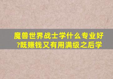 魔兽世界战士学什么专业好?既赚钱又有用(满级之后学)