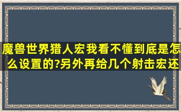 魔兽世界猎人宏我看不懂到底是怎么设置的?另外再给几个射击宏还有...