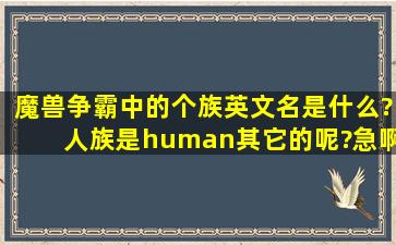 魔兽争霸中的个族英文名是什么?人族是human,其它的呢?急啊