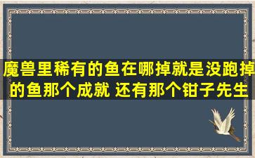 魔兽里稀有的鱼在哪掉(就是没跑掉的鱼那个成就) 还有那个钳子先生的...