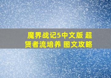 魔界战记5中文版 超贤者流培养 图文攻略