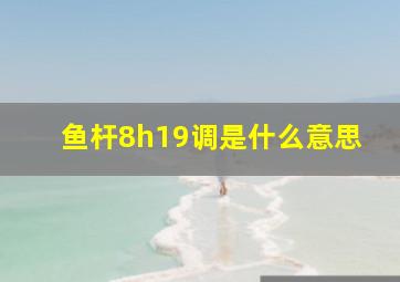 鱼杆8h19调是什么意思