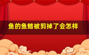 鱼的鱼鳍被剪掉了会怎样