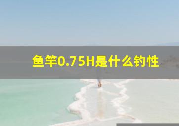 鱼竿0.75H是什么钓性