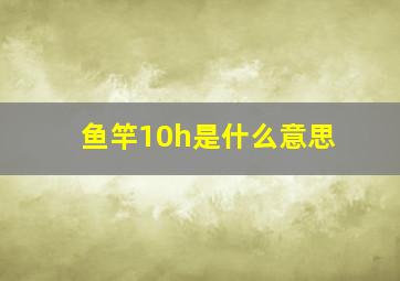 鱼竿10h是什么意思