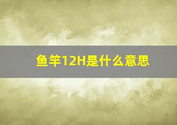 鱼竿12H是什么意思