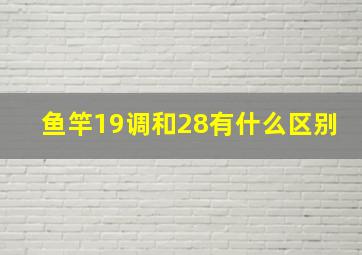 鱼竿19调和28有什么区别