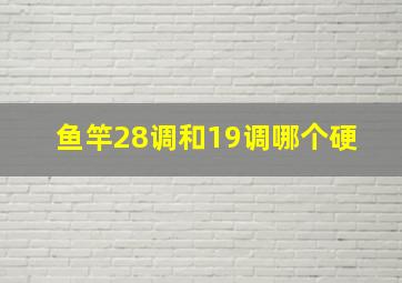 鱼竿28调和19调哪个硬 