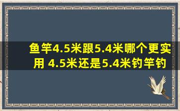 鱼竿4.5米跟5.4米哪个更实用 4.5米还是5.4米钓竿钓鱼好