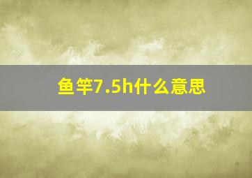 鱼竿7.5h什么意思(